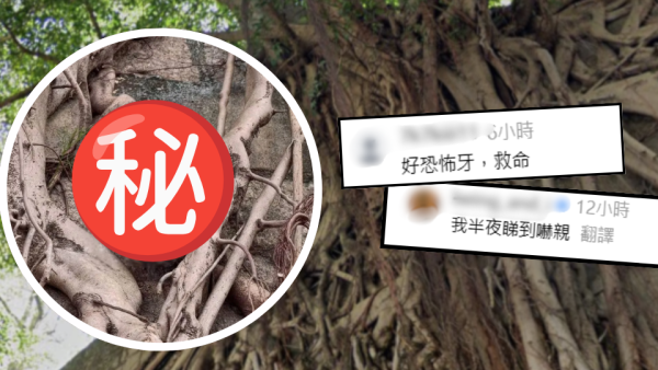 銅鑼灣鬧市驚現「樹中人頭」！舊照曝光揭早已存在 網民：夜晚經過嚇死人