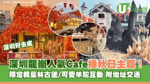 深圳龍崗人氣Cafe換秋日主題！限定楓葉林古堡/可愛羊駝互動 附地址交通