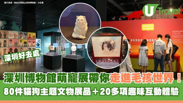 深圳博物館萌寵展帶你走進毛孩世界！80件貓狗主題文物展品＋20多項趣味互動體驗