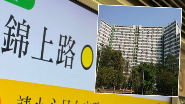 首派蝴蝶二派大興仲剩最後一次！公屋申請者陷兩難：博錦上路定穩陣接受？