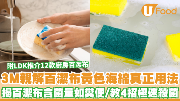 百潔布海綿︱3M親解百潔布黃色海綿「不是洗碗用」 揭百潔布含菌量如糞便！教4招極速殺菌