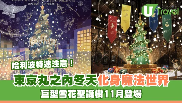 哈利波特迷注意！東京丸之內冬天化身魔法世界 巨型雪花聖誕樹11月登場