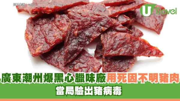 北上注意！內地爆黑心臘味廠！死因不明豬肉加工製「黑心豬肉乾」 當局驗出豬病毒陽性