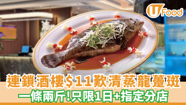 連鎖酒樓$11歎兩斤重清蒸蝴蝶龍躉斑 只限1日+附指定分店! 
