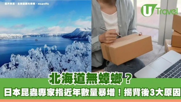 北海道無蟑螂？日本昆蟲專家指近年數量暴增！揭背後3大原因