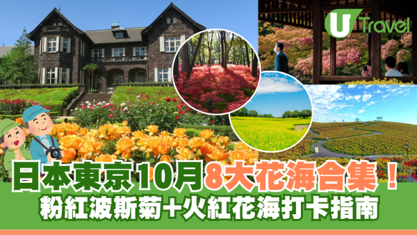 日本賞花自由行！東京10月8大花海合集 粉紅波斯菊+火紅花海打卡指南
