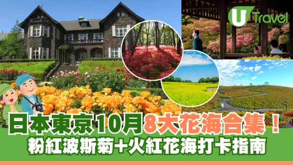 日本賞花自由行！東京10月8大花海合集 粉紅波斯菊+火紅花海打卡指南