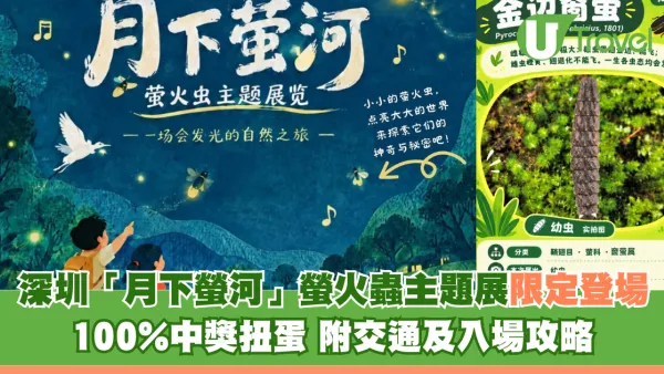 深圳「月下螢河」螢火蟲主題展限定登場 100%中獎扭蛋！附交通及入場攻略