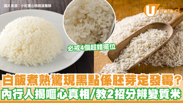 白飯煮熟驚現黑點係胚芽定發霉？內行人揭嘔心真相 警告見到呢2個變質特徵即刻掉