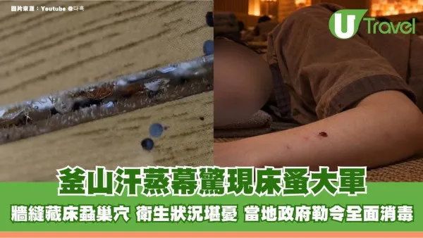釜山汗蒸幕驚現床蚤大軍！牆縫藏床蝨巢穴 衛生狀況堪憂 當地政府勒令全面消毒