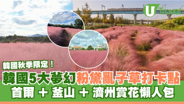 韓國秋季限定！夢幻粉黛亂子草5大打卡點 首爾+釜山+濟州賞花懶人包