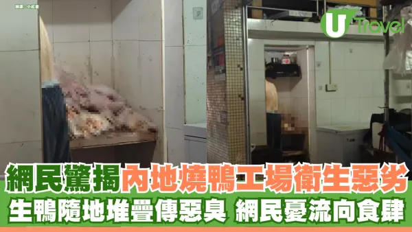 網民驚揭內地燒鴨工場衛生極惡劣 生鴨隨地堆疊傳惡臭 內地網民憂流向食肆：寧食預製菜