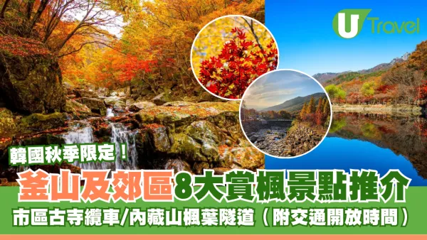 釜山賞楓2026｜釜山市區、郊區8大賞楓景點推介！市區古寺纜車秘境/內藏山楓葉隧道 附交通開放時間