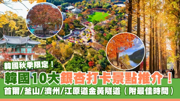 韓國銀杏打卡景點10大推介！首爾/釜山/濟州/江原道金黃隧道 附最佳觀賞時間/交通懶人包