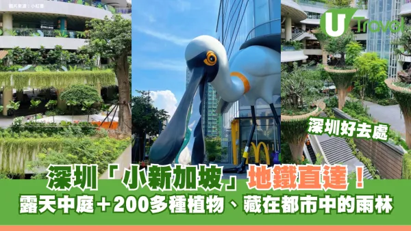 深圳「小新加坡」 地鐵直達！商場露天中庭＋200多種植物 網民大讚：藏在都市中的雨林
