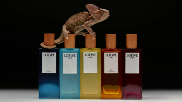LOEWE香水激减全线75折！淡香水劲减近$300！5大编辑推荐 优雅花香/大自然木质调/清新果香