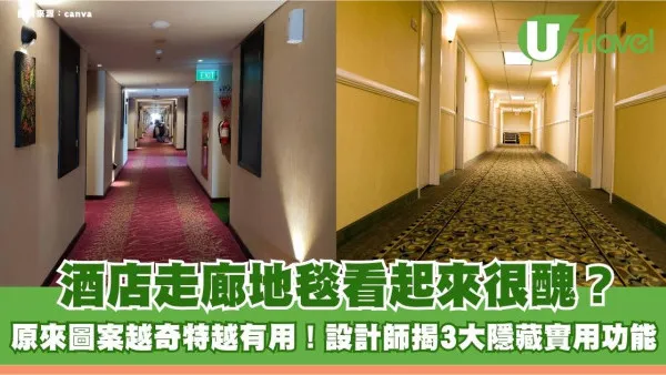 酒店走廊地毯看起來很醜？原來圖案越奇特越有用！設計師揭3大隱藏實用功能