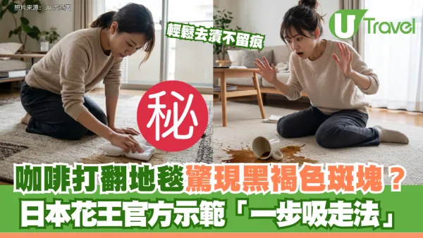 咖啡打翻地毯驚現黑褐色斑塊？日本花王官方示範「一步吸走法」 輕鬆去漬不留痕