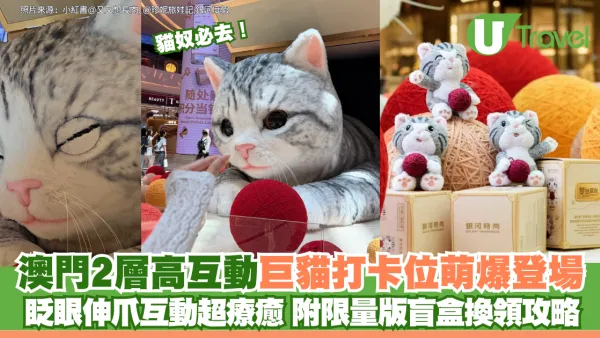 貓奴必去！澳門2層高互動巨貓打卡位萌爆登場 眨眼伸爪互動超療癒 附限量版盲盒換領攻略