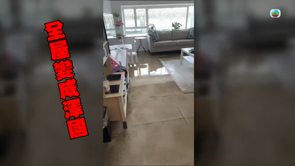 【爆渠噩夢】北角私樓單位兩度遭污水倒灌全屋！含排洩物慘蝕120萬 管理公司卸責拒賠引怒火