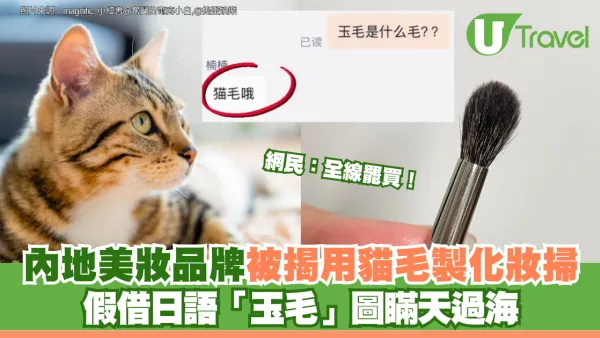 內地美妝品牌被揭用貓毛製化妝掃 假借日語「玉毛」圖瞞天過海 網民：全線罷買！
