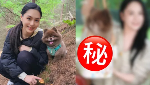 钟欣潼阿娇晒5位数LV限定款手袋当宠物袋用！超级富养爱犬全身都是名牌颠覆想象