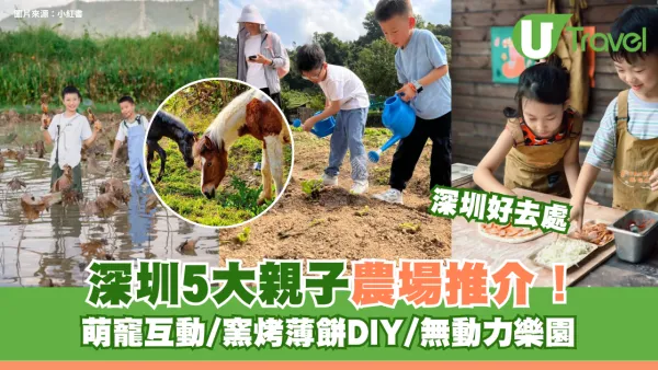 深圳親子農場5大推介！萌寵互動/窯烤薄餅DIY/無動力樂園