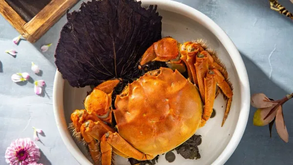 銅鑼灣利景酒店陳家廚房雙宴登場｜$498起食五兩大閘蟹／川菜配威士忌