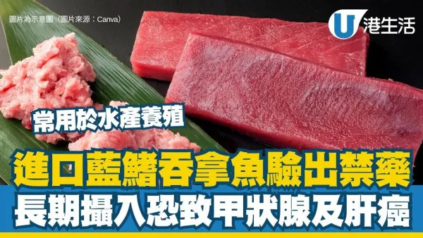藍鰭吞拿魚刺身驚現禁藥孔雀石綠 長期攝入恐致甲狀腺及肝癌