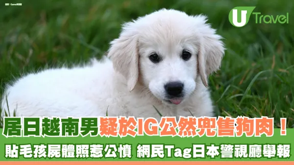 居日越南男疑於IG公然兜售狗肉！ 貼毛孩屍體照惹公憤 網民Tag日本警視廳舉報