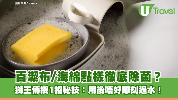 日本冷知識｜百潔布/海綿點樣徹底除菌？獅王傳授1招秘技：用後唔好即刻過水！