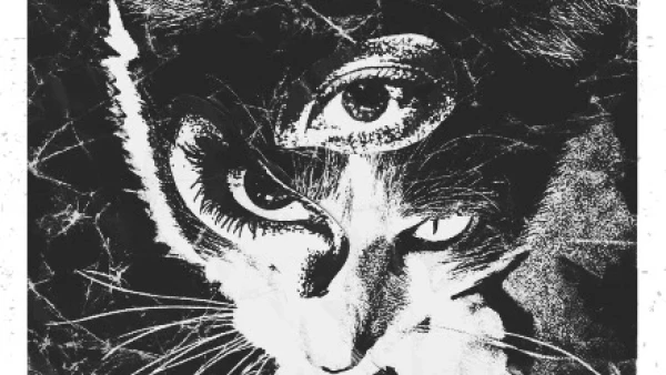 Tokyo Shoegazer演唱會 | Tokyo Shoegazer "Remains Tour"巡迴演唱會 2026 香港站優先購票/公開發售日期/票價/場地/座位表一覽