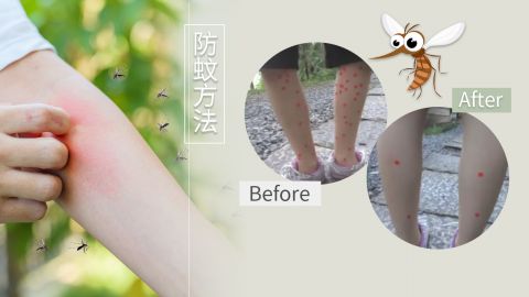 日本節目實驗示範超有效防蚊方法！研究惹蚊原因！成本低又簡單、出門前這樣做！
