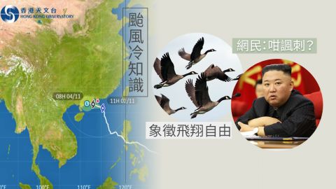 颱風「尼格」由北韓命名象徵翅膀／自由！熱帶氣旋名稱有趣冷知識！香港命名「珊珊」「玲玲」是誰？ 