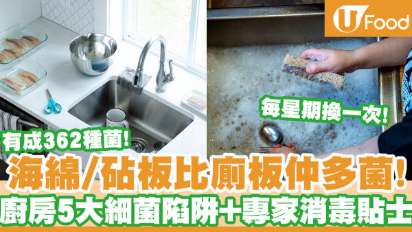 廚房清潔｜海綿比廁板更多菌！廚房5大多細菌的地方＋清潔消毒貼士