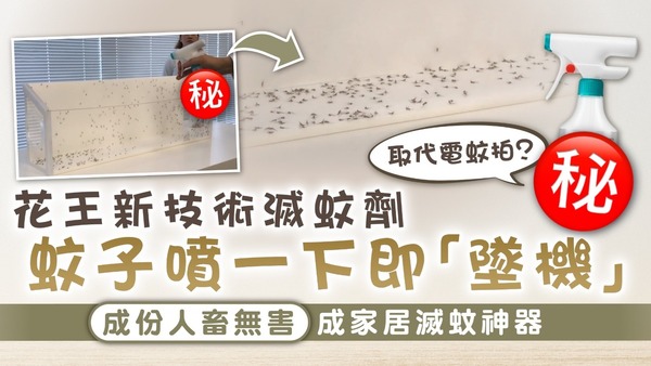 家居滅蟲｜花王新技術滅蚊劑 蚊子噴一下即「墜機」 成份人畜無害成家居滅蚊神器
