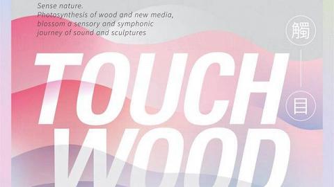 K11 購物藝術館TouchWood「觸‧目」展覽