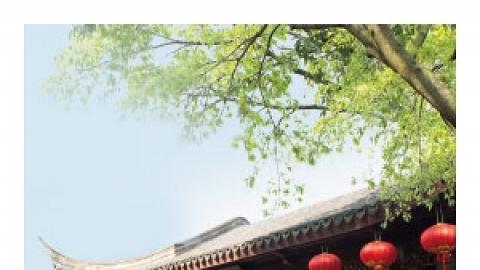 廣東音樂系列︰粵韻樹下音樂廳