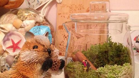 免費再造盆栽工作坊！ WWF「自然一居」展覽