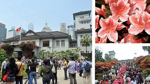 賞杜鵑花！香港禮賓府免費開放