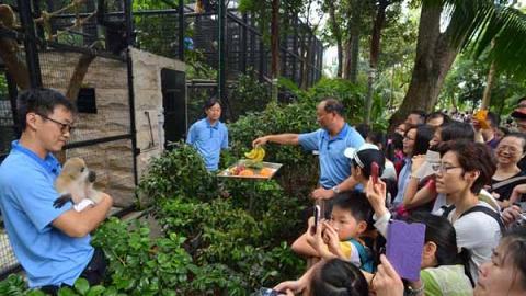 近距離認識稀有猴子！動植物公園「護理聚談」