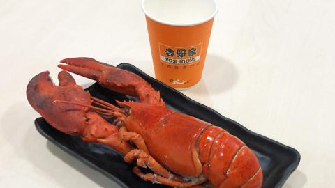 $1追加原隻龍蝦！吉野家指定分店再推火鍋放題