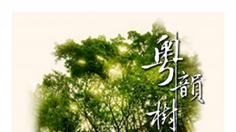 廣東音樂系列︰粵韻樹下音樂廳