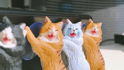 韓國設計可憐樣貓咪手機托架！慘貓喊住幫手托電話