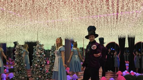 【聖誕節2018】愛麗絲聖誕燈飾登陸沙田新城市！20大影相位/玫瑰燈海/展覽