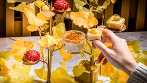 【銅鑼灣美食】法日式餐廳12月限定銀杏金秋下午茶　歎銀杏脆撻+茶葉主題甜品