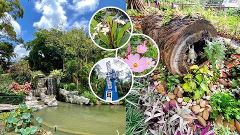 【賞花好去處】大窩口城門谷公園盛開花卉 多個童話風打卡位！藍白風車塔/愛麗絲兔子園林