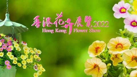 原定3月2022年香港花卉展覽取消！康文署考慮以不同方式展出花卉