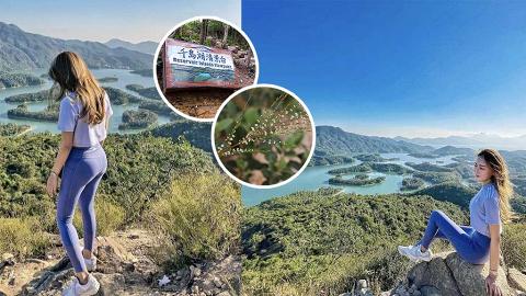 【郊遊好去處】大欖涌俯瞰港版千島湖美景 全程只需2小時！即看路線及前往方法