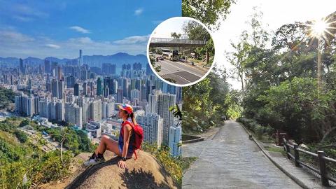郊遊好去處 | 鷹巢山自然教育徑郊遊路線推介！3小時登上畢架山/遠眺獅子山美景